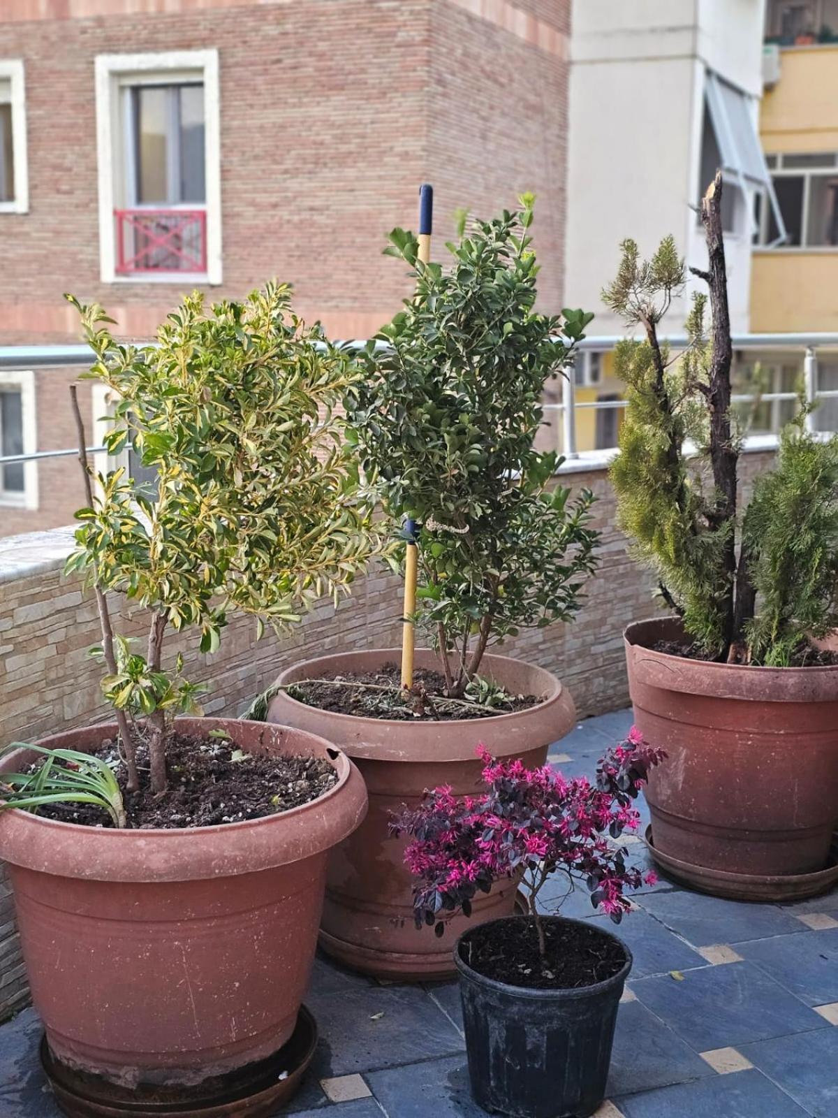 Main Apartment Tirana Extérieur photo